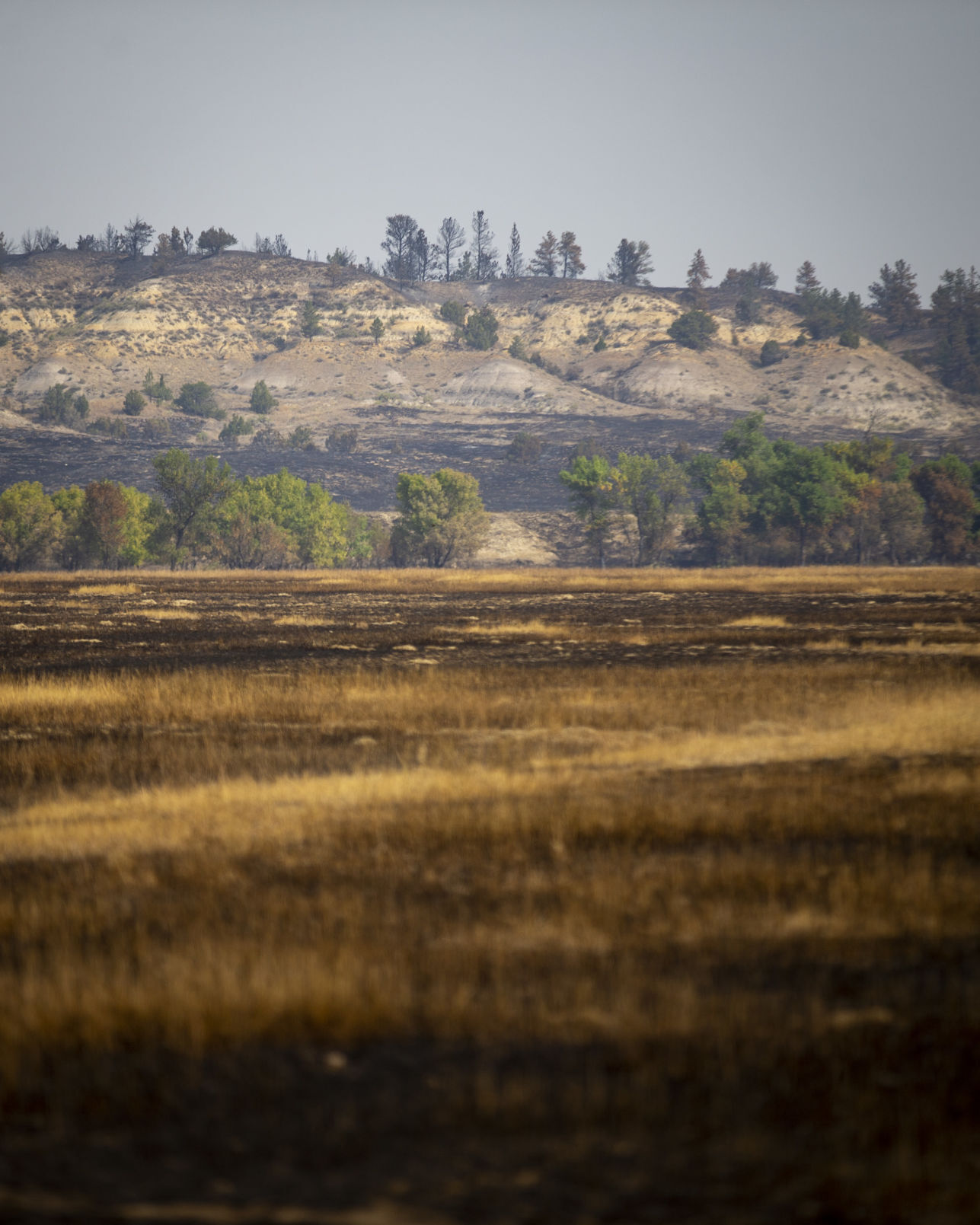 Snider fire